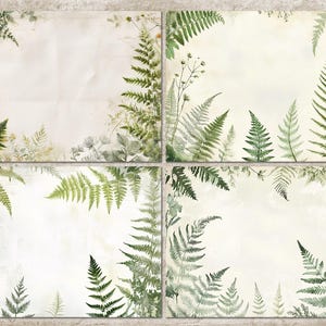 May include: Four square images with a vintage aesthetic. Each features a cream-colored background with green fern and foliage illustrations around the edges. The ferns vary in size and detail, creating a natural, botanical theme.