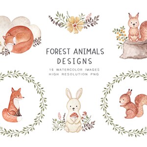 Aquarell Wald Clipart - 16PNG, Waldtiere, Kranz Clipart, Waldkarten, Babyparty, Kindergeburtstag, Einladungen Geburtstag