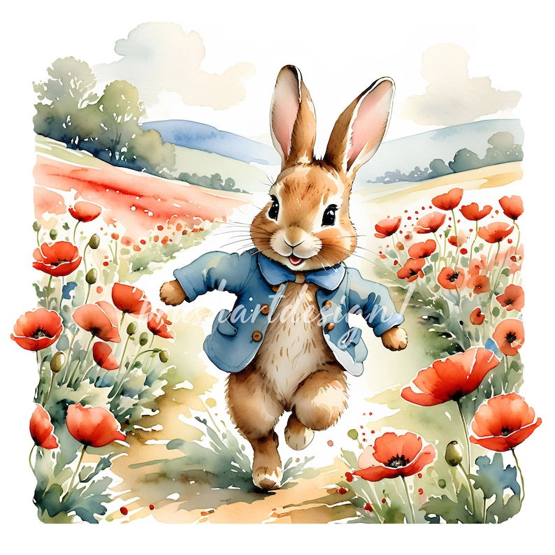 11 Peter Rabbit and Poppies Clipart, Beatrix Potter Style, Poppy Field ...