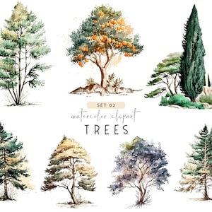 Clipart albero acquerello, albero png, vintage, cipresso, pino, abete, conifere, arancio, illustrazione botanica, adesivi Planner
