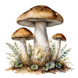 May include: Watercolor painting of three mushrooms with brown caps and white stems growing in a bed of green ferns and brown leaves.
