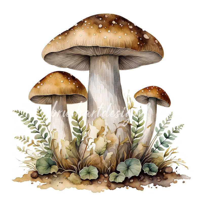 May include: Watercolor painting of three mushrooms with brown caps and white stems growing in a bed of green ferns and brown leaves.