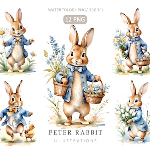 Könnte beinhalten: Aquarellillustrationen von Peter Hase in verschiedenen Posen. Die Hasen tragen einen hellblauen Blazer und halten Blumen, Körbe und ein Küken. Der Text "PETER RABBIT ILLUSTRATIONS" ist unter den Bildern zu sehen.