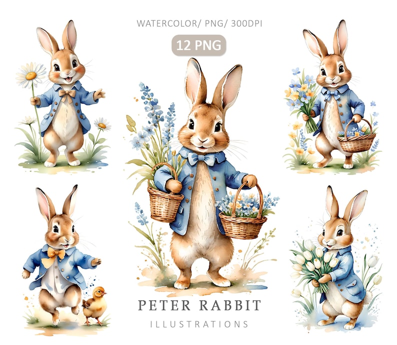 Peter The Rabbit Spring Peter Rabbit Watercolor Clipart- 12PNG, Beatrix Potter Style, Spring ...