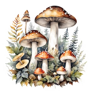 14 Aquarell Pilze Clipart, Waldpilze Bilder, hochwertige JPG-Dateien, Kartenherstellung, Papiermodelle, Junk Journal, Sammelalben, Digital