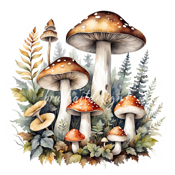 14 Watercolor Mushroom Clipart, Forest Fungi Images, JPG, Digital Download