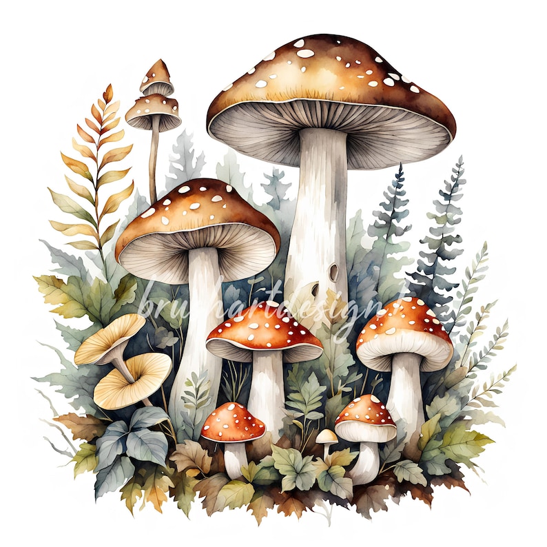 May include: Watercolor painting of a cluster of mushrooms in various sizes and colors, surrounded by green foliage. The largest mushroom has a brown cap with white spots and a white stem. The other mushrooms have red and white caps with white stems.