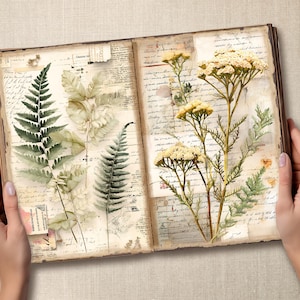May include: An open vintage journal with pressed botanicals. The pages are filled with handwritten notes and the journal is decorated with dried flowers and leaves. The journal is open to reveal a page with a pressed fern and a pressed flower.