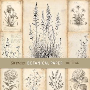 May include: A collection of digital botanical paper sheets featuring black ink illustrations of various flowers and grasses on aged, tan-colored parchment backgrounds. The text 50 PAGES BOTANICAL PAPER DIGITAL is printed on a horizontal beige banner.