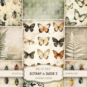 Könnte beinhalten: Digitales Journalpapier mit dem Titel "Botany & Bugs 2" mit Aquarellillustrationen von Schmetterlingen, Käfern und Farnen. Das Papier hat eine Vintage-Ästhetik mit einer beige-grünen Farbpalette. Das Papier misst 27,9 cm x 21,6 cm.
