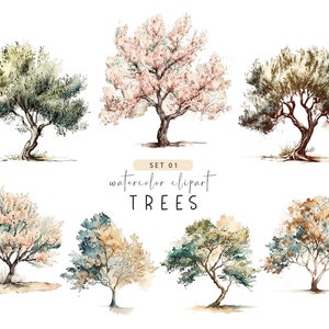 Watercolor tree clipart, Tree clipart, Olive tree, Almond tree, Ornamental tree, Flowering tree clipart, Fruit trees, Vintage trees