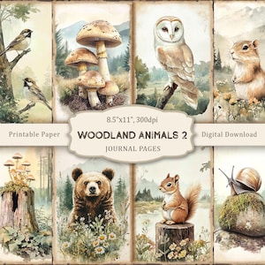 May include: A collection of printable journal pages featuring watercolor illustrations of woodland animals. The images include birds, mushrooms, an owl, a squirrel, a bear, and a snail. The paper size is 8.5" x 11" and the resolution is 300dpi.
