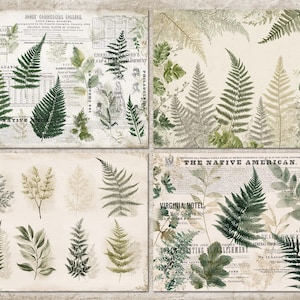 May include: Four vintage-style botanical prints featuring fern illustrations in shades of green and gray. The backgrounds include aged paper textures and snippets of old newspaper text, creating a rustic aesthetic.