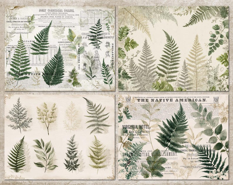 May include: Four vintage-style botanical prints featuring fern illustrations in shades of green and gray. The backgrounds include aged paper textures and snippets of old newspaper text, creating a rustic aesthetic.