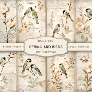 Vögel Junk Journal Kit, druckbare Seiten Frühlingsvögel, Scrapbooking Papier Vögel, Frühlingsblumen Collage, Vintage Ephemera, digitaler Download