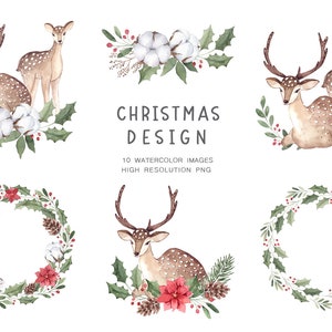 Weihnachtscliparts, Weihnachten PNG, Hirsch Clipart, Weihnachtsstern Clipart, Weihnachtsdekoration, Weihnachtskarte, Digitaldruck, digitale Downloads