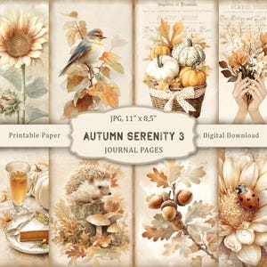Può includere: Un collage di pagine di diario in stile vintage a tema autunnale. Le immagini includono un girasole, un uccello su un ramo, zucche in un cesto e un riccio. Il testo recita "Autumn Serenity 3 Journal Pages". Le dimensioni della carta sono 27,9 cm x 21,6 cm.