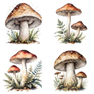 May include: Four watercolor paintings of mushrooms with brown and red caps and white stems. The mushrooms are surrounded by green ferns and leaves.
