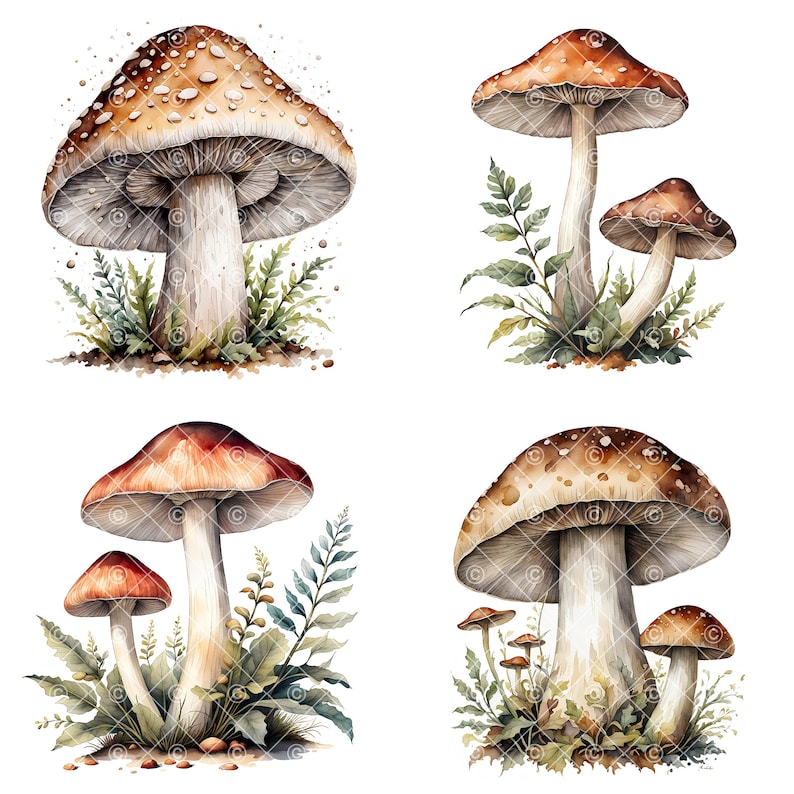 May include: Four watercolor paintings of mushrooms with brown and red caps and white stems. The mushrooms are surrounded by green ferns and leaves.