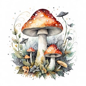 10 cliparts aquarelle d'Amanites mouches, images d'Amanita, Images de champignon vénéneux, champignons magiques, Clipart forêt JPG, fabrication de cartes, journal indésirable