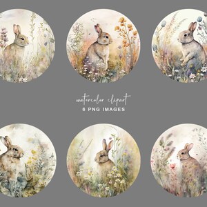 May include: Six watercolor illustrations of a brown rabbit in a field of wildflowers. Each illustration is a circle with a white background and features a different arrangement of flowers and grasses.