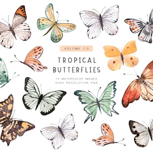 Mariposas acuarela clipart- 14PNG, Mariposa clipart, Mariposas Png, Mariposas tropicales, Regalo para ella, Mariposas pastel, Arte de pared