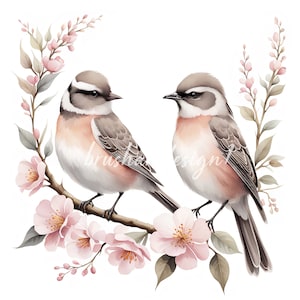 11 cliparts oiseaux printaniers, clipart Sakura, clipart aquarelle oiseau, fabrication de cartes, JPG haute qualité, créations en papier, téléchargement numérique, journal indésirable
