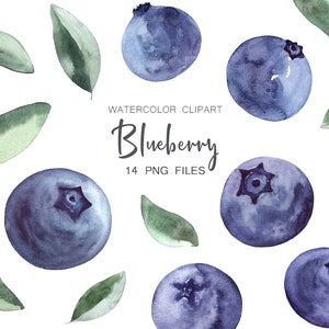 Clipart aquarelle myrtille, clipart baies, myrtille PNG, PNG de baies sauvages, nourriture végétarienne, été, bricolage cartes myrtilles, planificateur d'autocollants
