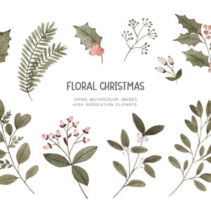 Clipart floreale di Natale, piante di Natale, clipart di vischio, clipart di agrifoglio, download digitale, stampa digitale, png floreale, set clipart