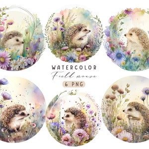 Leuke illustratie egel in wilde bloemen, egel aquarel clipart, egel in bloemen, egel decor, egel png, baby clipart