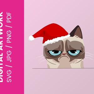 Może przedstawiać: Zły kot w czerwonym kapeluszu Świętego Mikołaja z białym wykończeniem. Kot ma brązowe futro, niebieskie oczy i zły wyraz twarzy.