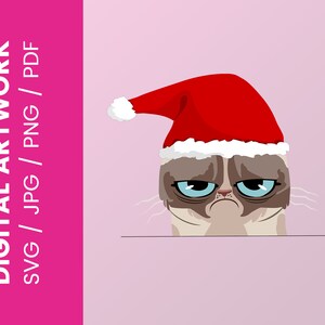 Może przedstawiać: Zły kot w czerwonym kapeluszu Świętego Mikołaja z białym wykończeniem. Kot ma brązowe futro, niebieskie oczy i zły wyraz twarzy.