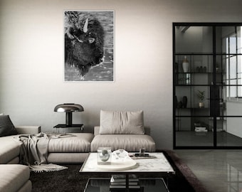 Black and White Juvenile Bison Framed Poster, Premium Matte