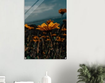 Moody Daisy on Acrylic Print