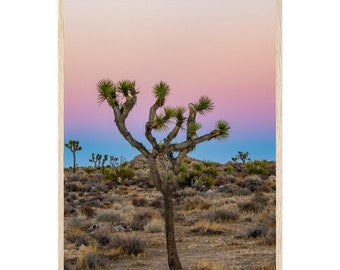 A Joshua Tree Sunrise on Museum-Quality Matte Paper Wooden Framed Poster