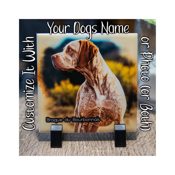 Tile for 2025 your dog