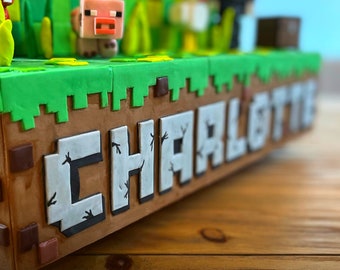 Gaming/Movie Fondant Name Lettering | Custom Name For Your Gamer's Cake | Made-to-order | Pixelated Name