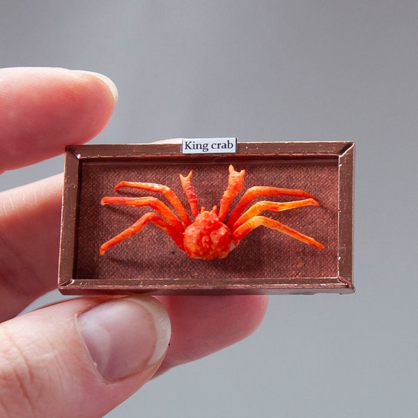 Miniature dollhouse king crab. Realistic creepy taxidermy spooky Halloween. Horror 1/12 twelfth scale doll house unusual wall decor