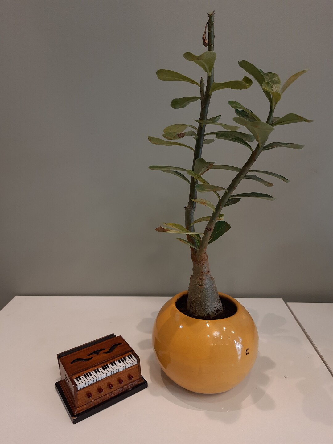 Miniature Musical Instrument Harmonium Etsy