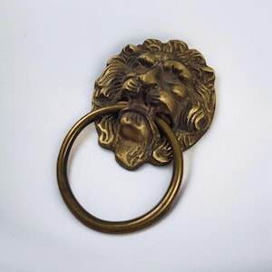 May include: A brass lion head door knocker with a circular handle. The lion's face is detailed with a mane and open mouth, holding the ring. The knocker is mounted on a white surface.