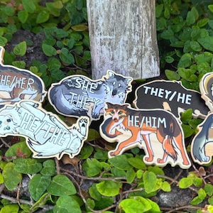 May include: A collection of wooden pronoun pins with wolf illustrations. The pins show pronouns like "SHE/HER", "HE/HIM", "THEY/HE", and "IT/IT". The wolf designs are in shades of grey, brown, and orange. The background is a bed of green leaves.