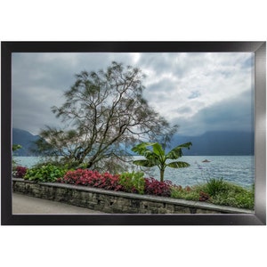 Bargain Frames | Amazing Tree And Flowers By A Lake With Cloudy Skies In Europe