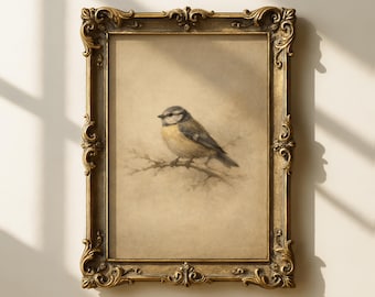 Vintage Bluetit Bird Print, Rustic Nature Wall Art, Cottagecore Decor, Antique Moody Woodland Decor (Digital Download)