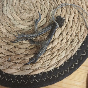 May include: A dark, detailed bird foot pendant with a silver-colored cord, resting on a woven straw placemat with a black border. The bird's foot has sharp claws and textured skin.