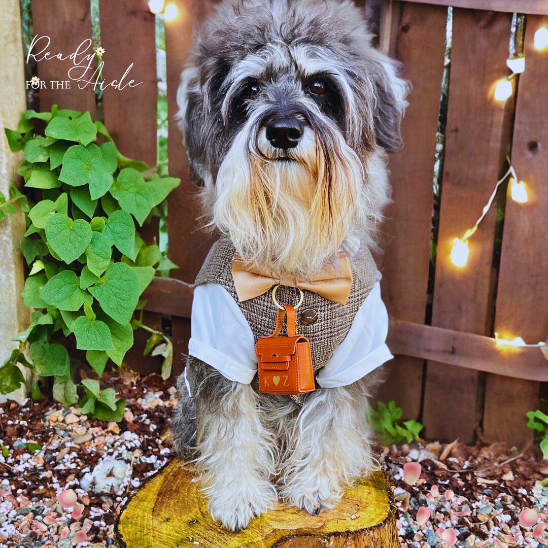 Buy Dog Wedding Outfit Wedding Ring Box for Dog Collars Complete Dog  Wedding Outfit With Bow Dog Wedding Dog Ring Bearer Outfit Online in