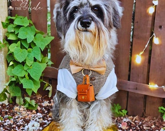 May include: A small, gray and white dog wearing a brown tweed vest with a gold bow tie and a small brown leather bag with a heart on it. The dog is sitting on a tree stump in front of a wooden fence with string lights.
