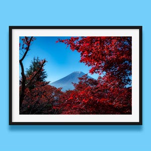 Fuji im Herbst, eingerahmt von roten Blättern | Original Mount Fuji Kunstfotodruck, Wandkunst, Japan Landschaft, Poster