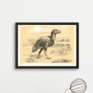 1960 GASTORNIS (DIATRYMA) Print - Prehistoric Animals Print - Paleoart - Paleontology Print - Bird - 63 Years Old - 13.5 x 9.75 Inches