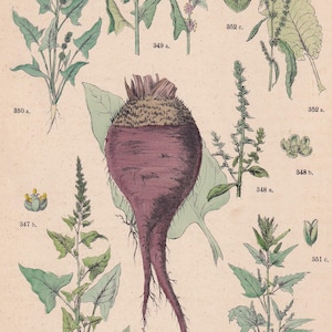 Puede incluir: Un juego de tres tazas de cerámica con un acabado mate moteado. Las tazas son de color crema, gris claro y gris oscuro. Cada taza tiene un diseño simple y minimalista.