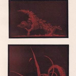 1900 SOLAR PROMINENCE Print - Solar Filament - Sun Print - Astronomy Print - Original Vintage Print - 124 Years Old - 7.75 x 11.2 Inches